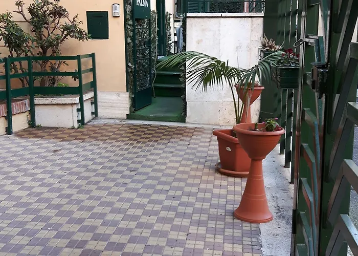 Palma Roma