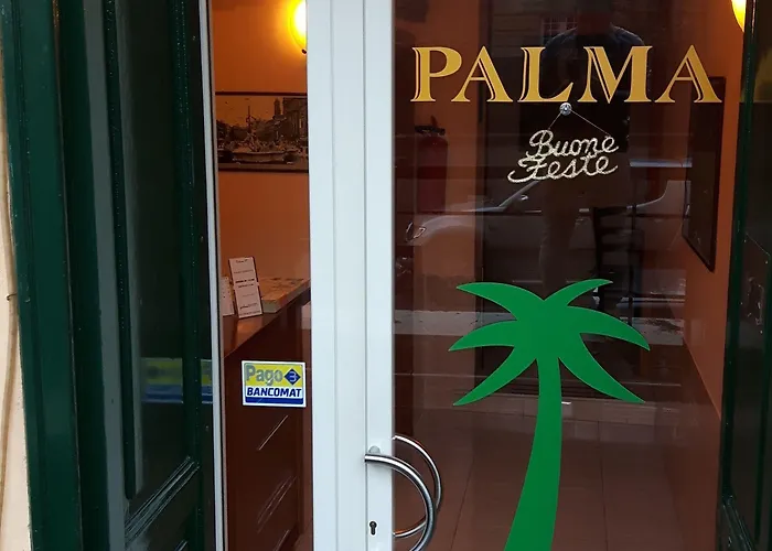 Palma Roma